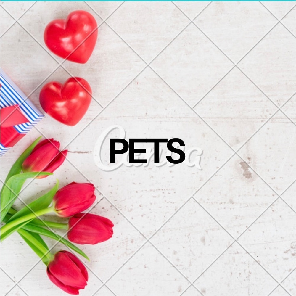 Pets - Picture 1 of 1